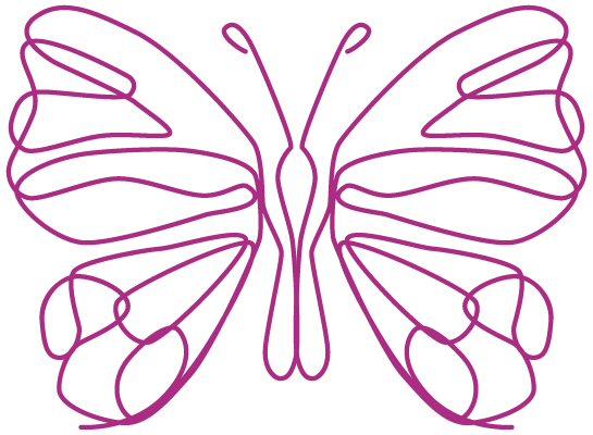 Schmetterling Linienzeichnung