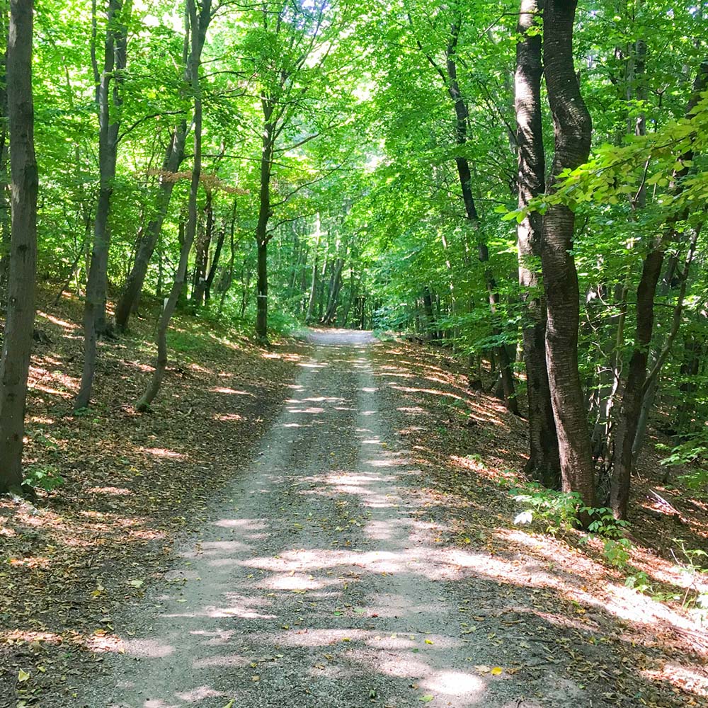Andrea Evelyne Ruhland Waldweg 