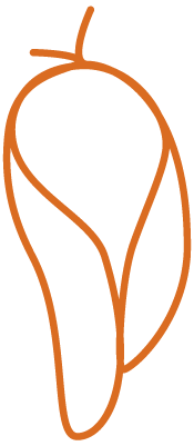 Liniengrafik Kokon
